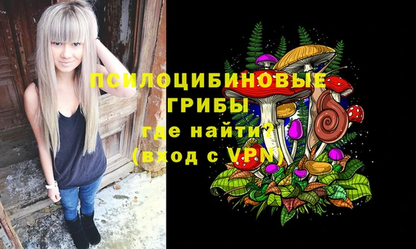 mix Лабытнанги