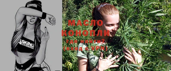 мдпв Долгопрудный